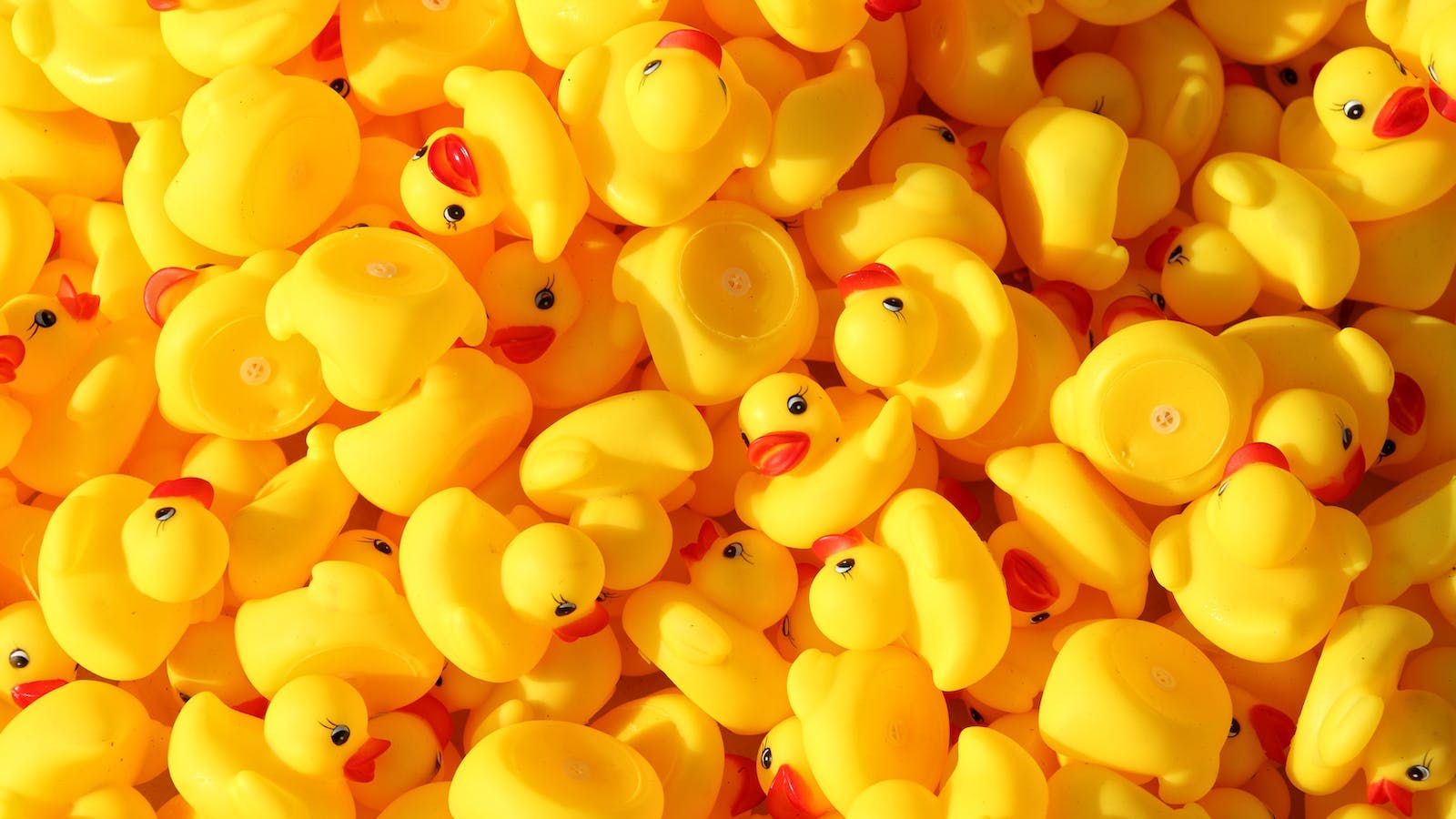 A picture of a pile of yellow rubber ducks